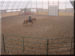 Fabric Covered Hoop Riding Arena/Equestrian Buildings
