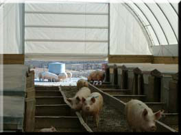 Fabric Structure Hog Buildings